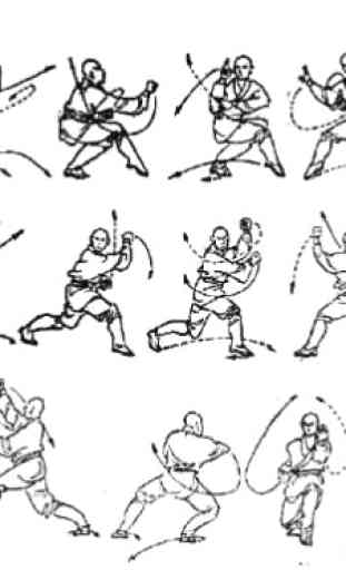 Wing Chun Technique 2