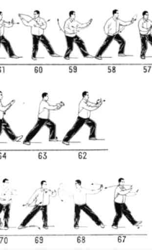 Wing Chun Technique 4