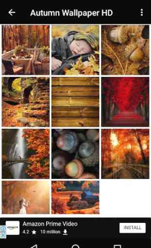 Autumn Wallpaper HD 3