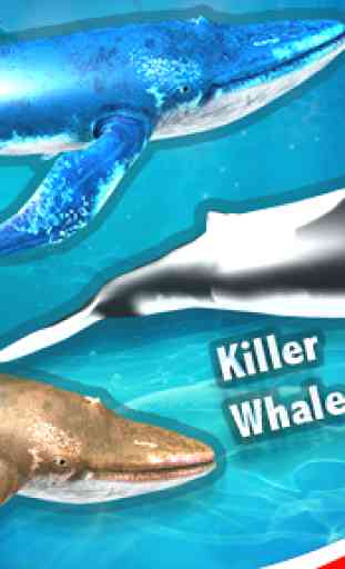 Blue Whale Simulator - Deep Ocean 2