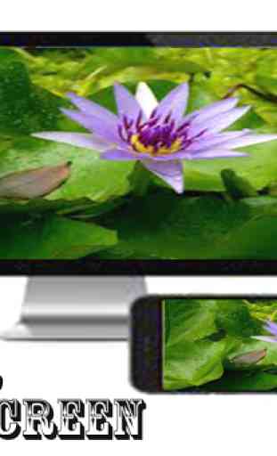 Connect phone to tv -screen mirroring- 2