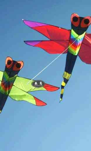 Creative Kite Designs 2