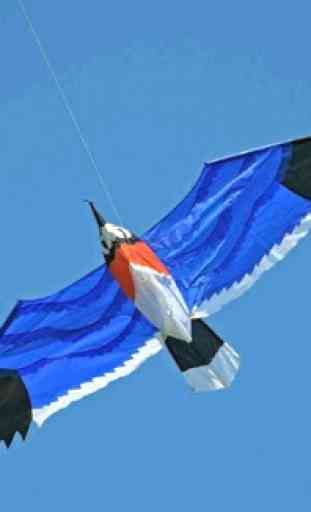 Creative Kite Designs 3