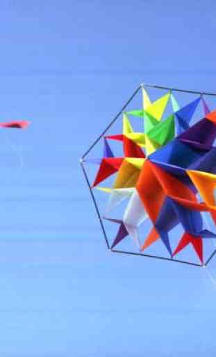 DIY Kites Design Ideas 1