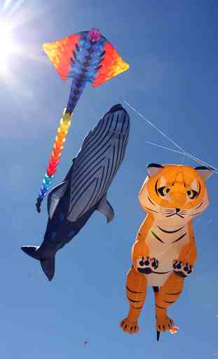 DIY Kites Design Ideas 3