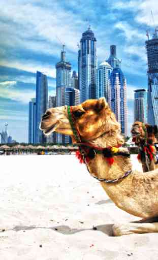 Dubai Photo Frames 4