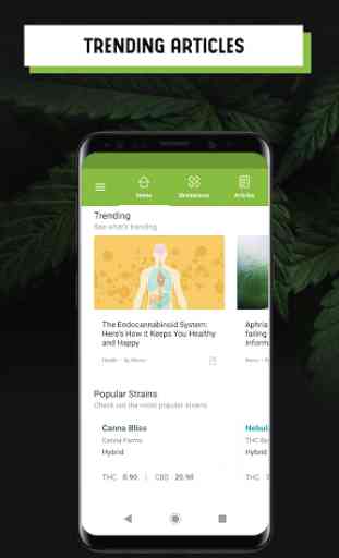 Greencamp - Grow Your Cannabis Knowledge 2