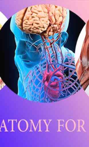 Human Anatomy 3D For Edication 1