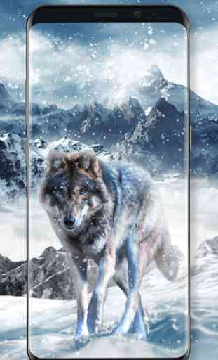 Ice Wolf Live Wallpaper 1