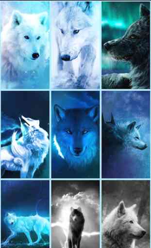 Ice Wolf Live Wallpaper HD 2