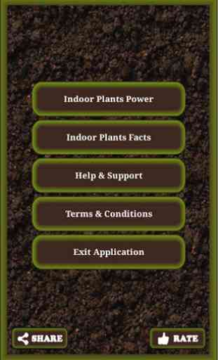 Indoor Plants 2