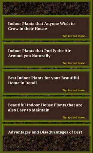 Indoor Plants 3