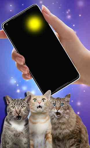 Moving laser pointer for cats (PRANK) 1