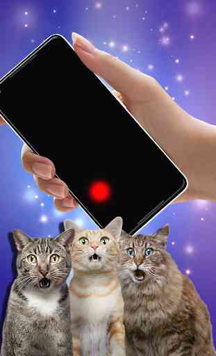 Moving laser pointer for cats (PRANK) 2
