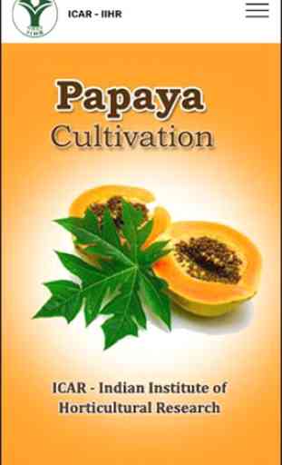Papaya Cultivation IIHR 1
