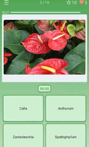 Quiz: Flowers, Plants 1