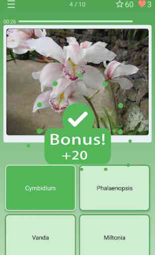 Quiz: Flowers, Plants 2