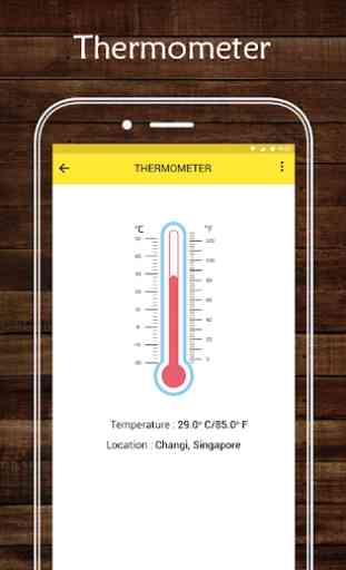 Thermometer 4