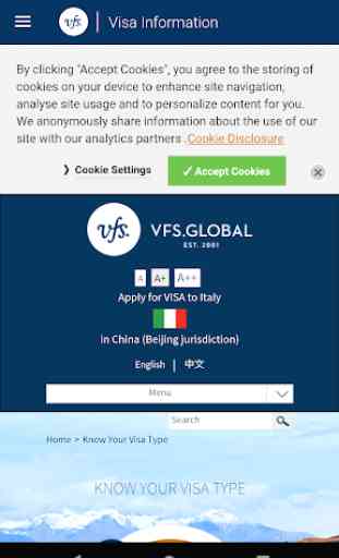 VFS Italy China 4