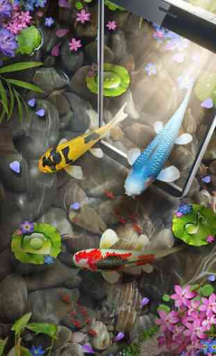 3D Koi Fish Theme & Lively 3D Ripple Effect 1