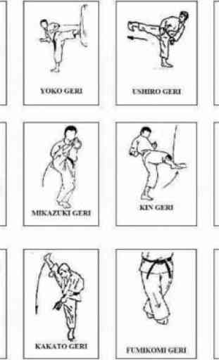 Basic Karate Movement Techniques 1