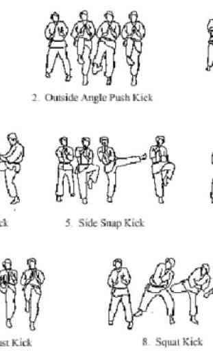Basic Karate Movement Techniques 2