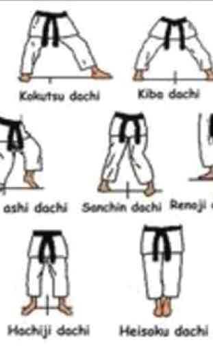 Basic Karate Movement Techniques 3