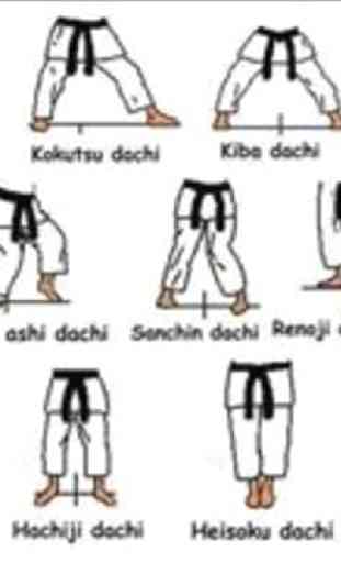 Basic Karate Movement Techniques 4