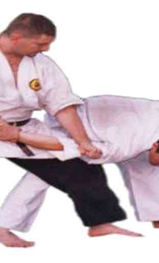 Basic Karate Technique 1