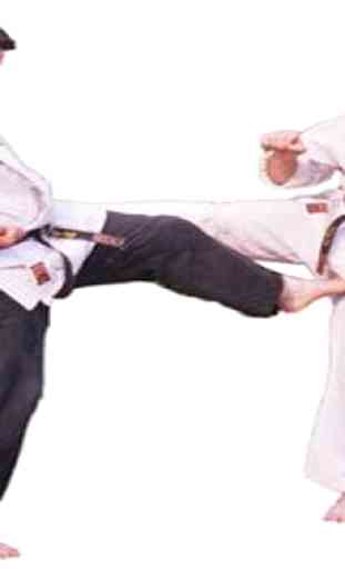Basic Karate Technique 4