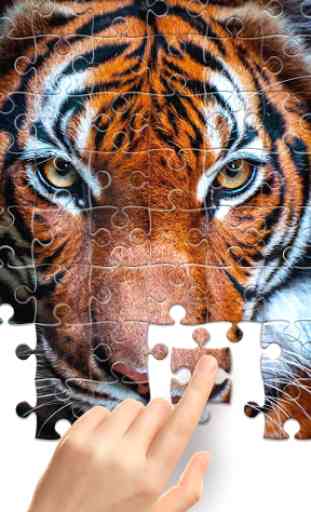 Jigsaw1000 - Jigsaw puzzles 3
