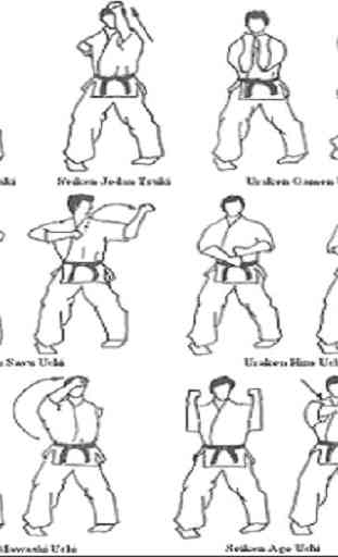 Learn Karate 3