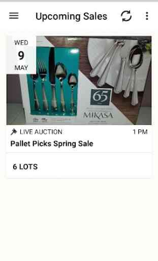 Pallet Picks Auction 1