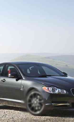 Themes For Jaguar XF Funs 3