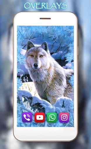 Wild Wolf HD live wallpaper 2