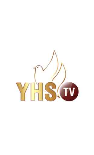 YHS TV 1