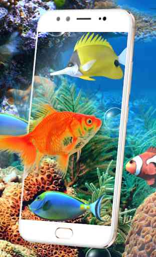 Aquarium Fish Live Wallpaper 2018: Koi Backgrounds 2