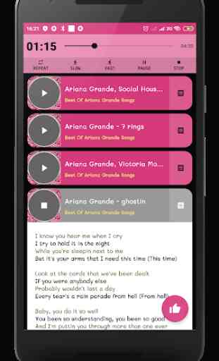 Ariana Grande ( Offline ) 1
