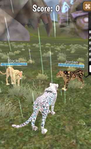 Cheetah Multiplayer 4