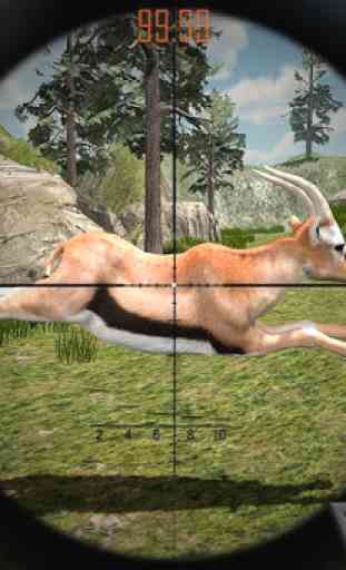 Deer hunting games 3D- Animal Hunter 2020 1