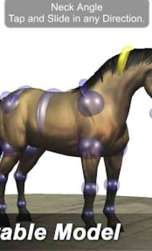 Horse Mannequin 2