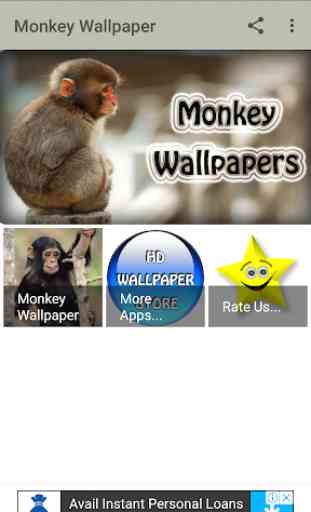 Monkey Wallpaper 1