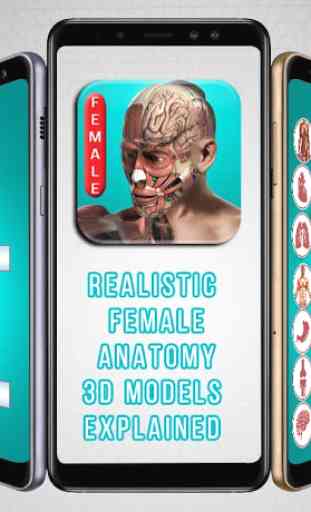 REALISTIC FEMALE ANATOMY 3D MODELS EXPLAINED 1