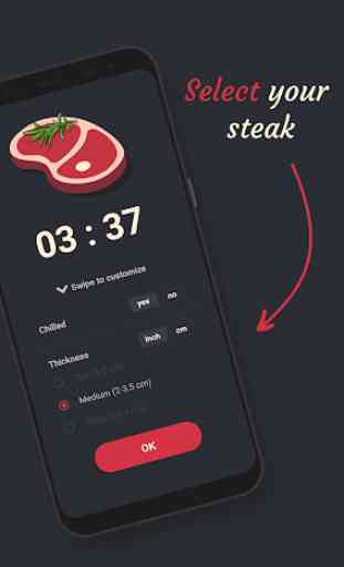 Steak Timer 2
