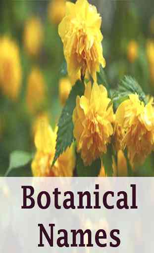 Botanical names 1