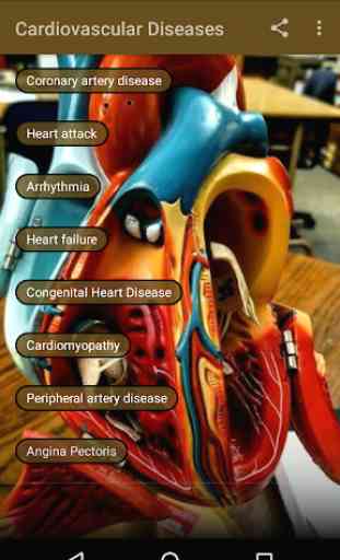 Cardiovascular Diseases 1