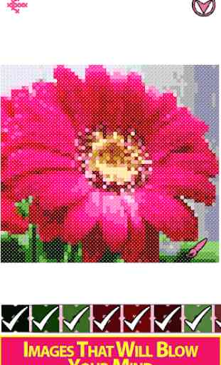 Flowers Cross Stitch : Adult Color By Number Book 3