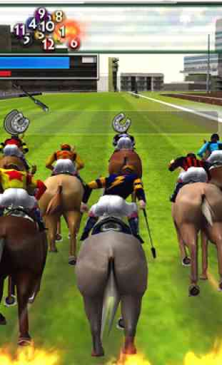 iHorse GO Offline: Horse Racing 1