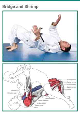 Martial Arts Movements Guide - Learn How to 3