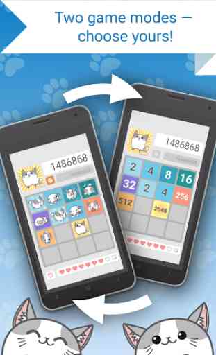 2048 – logic puzzle-game for your brain with cats 1